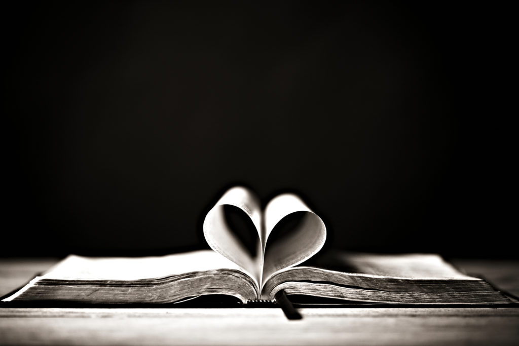 book open so that the pages make a heart